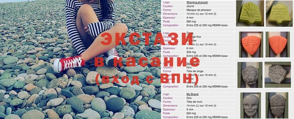 гашик Арсеньев