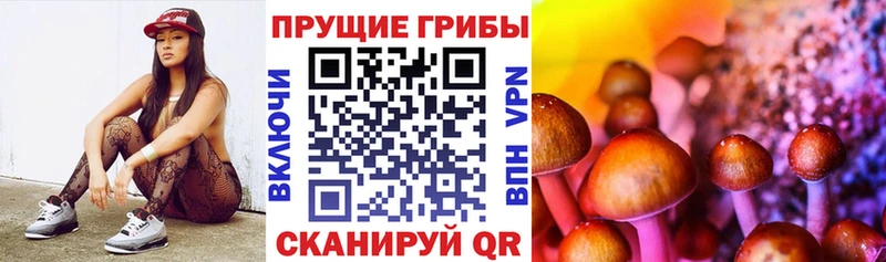 Галлюциногенные грибы MAGIC MUSHROOMS  дарнет шоп  Кадников 